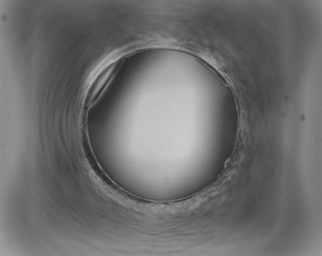 X0000081280007200701251639