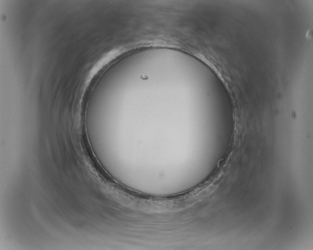 X0000081280008200701251639