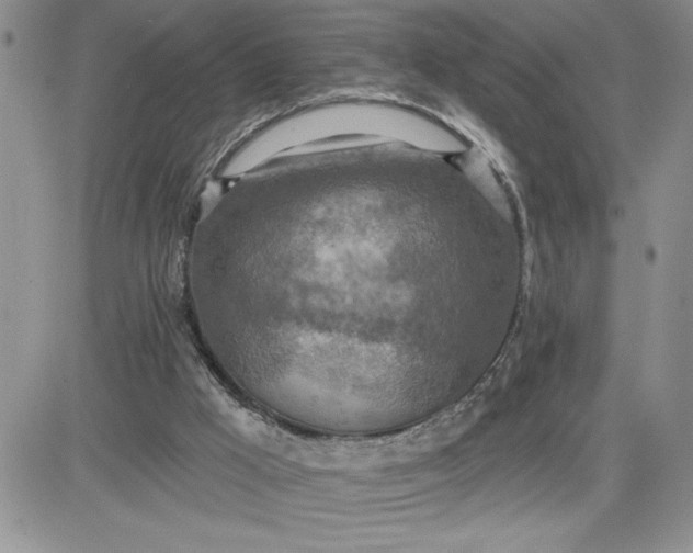 X0000081280009200701251639