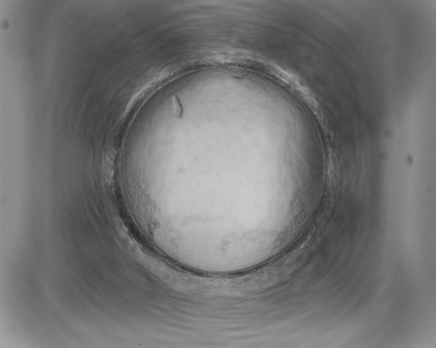 X0000081280010200701251639