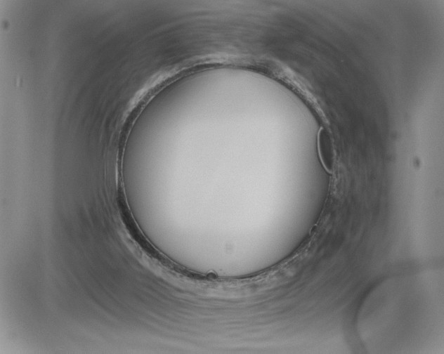 X0000081280011200701251639