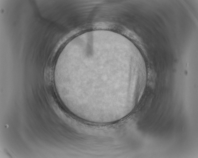 X0000081280012200701251639