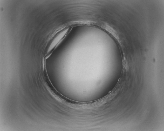 X0000081280013200701251639