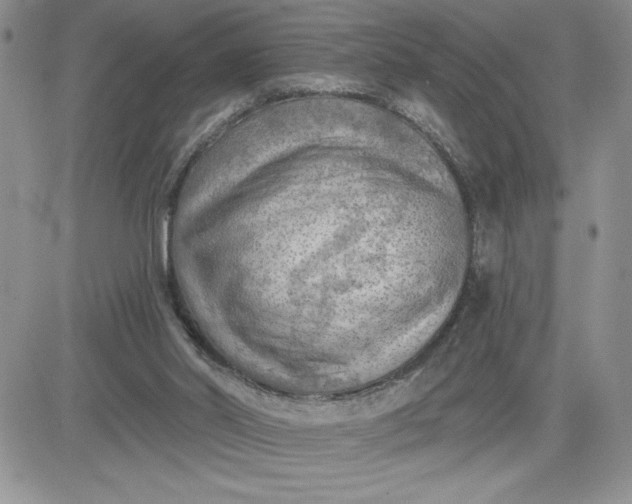 X0000081280014200701251639