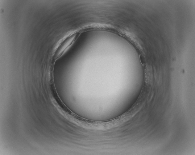 X0000081280015200701251639