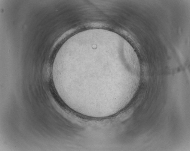 X0000081280016200701251639