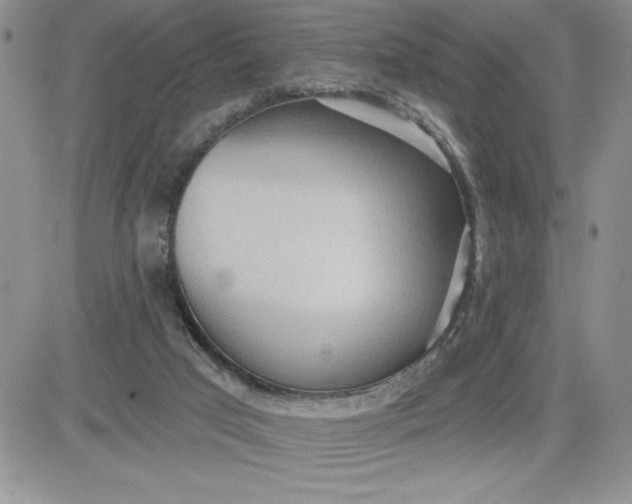 X0000081280017200701251639