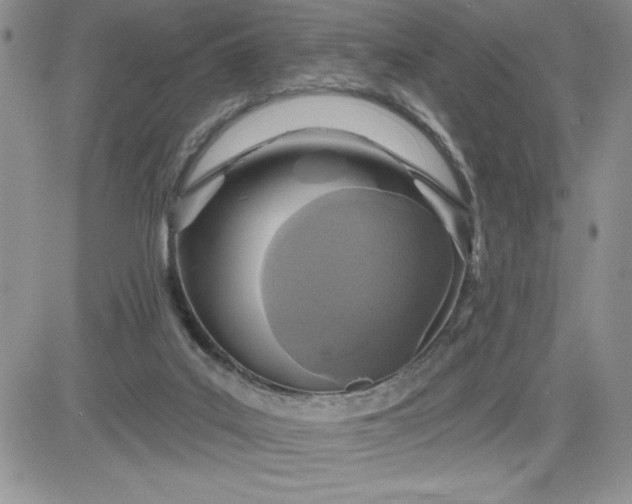 X0000081280019200701251639