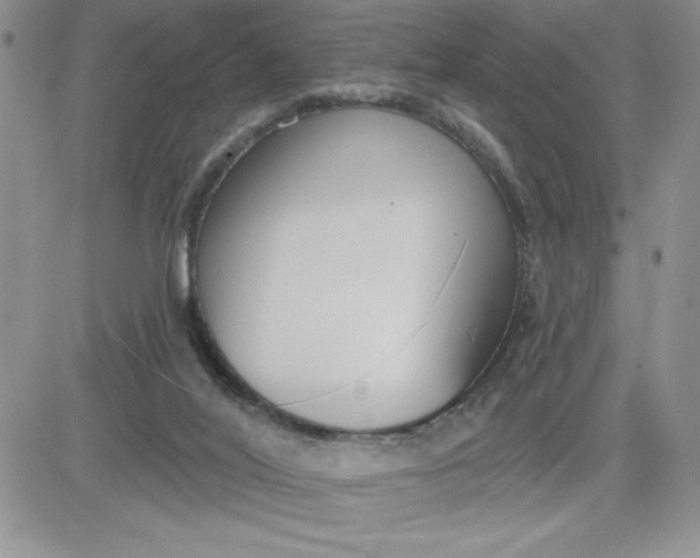 X0000081280020200701251639