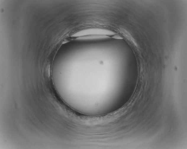 X0000081280021200701251639