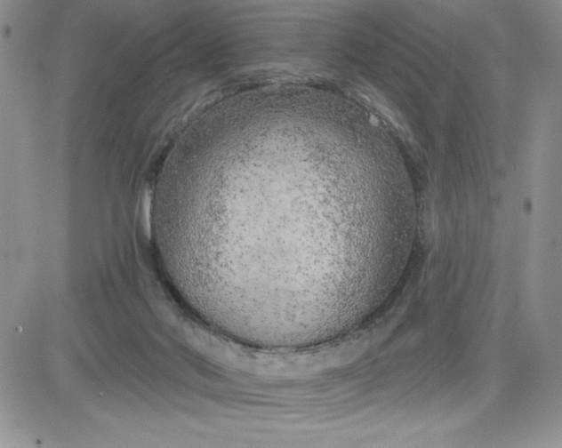 X0000081280022200701251639