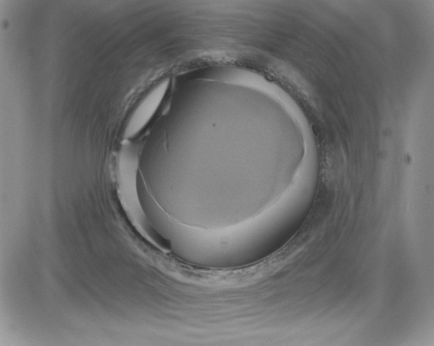 X0000081280023200701251639