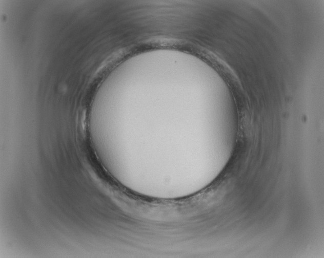 X0000081280024200701251639