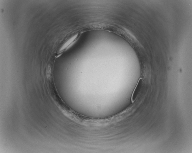 X0000081280025200701251639