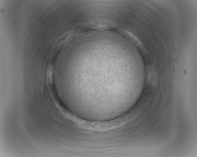 X0000081280026200701251639