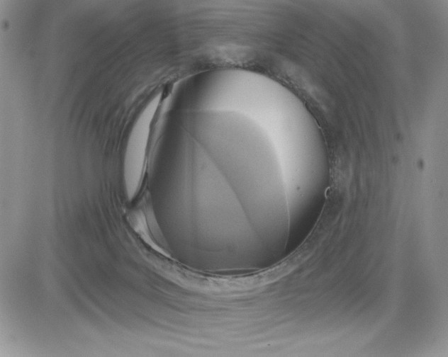 X0000081280027200701251639