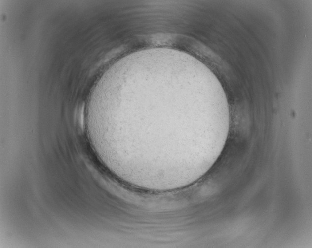 X0000081280028200701251639