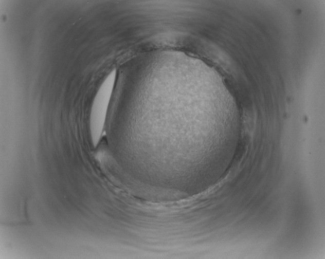 X0000081280029200701251639