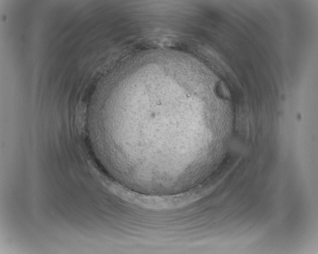 X0000081280030200701251639