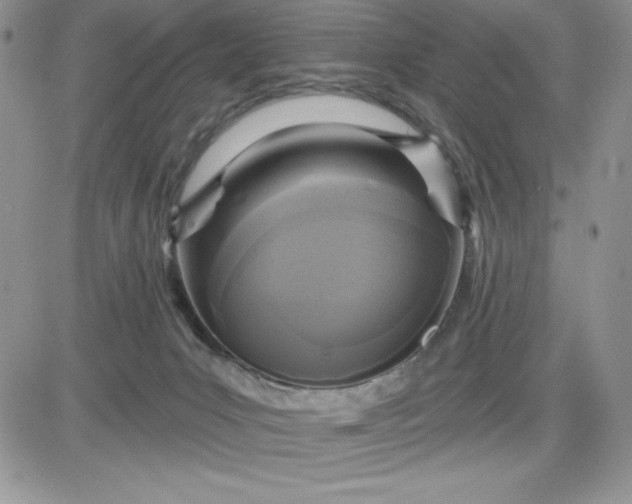 X0000081280031200701251639