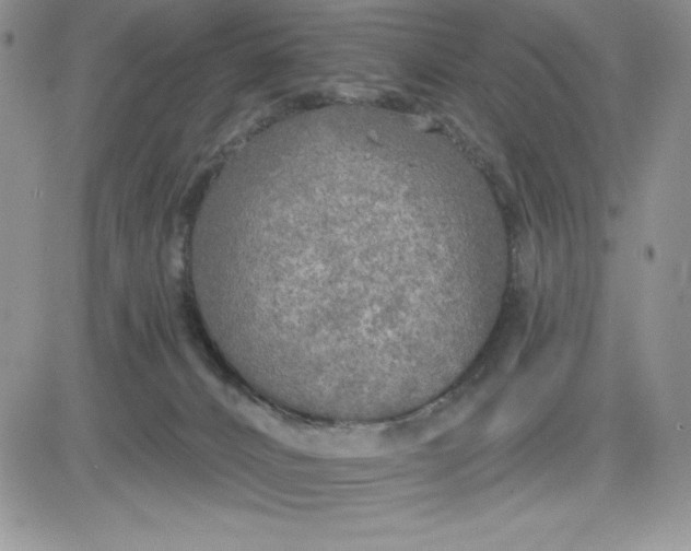 X0000081280032200701251639