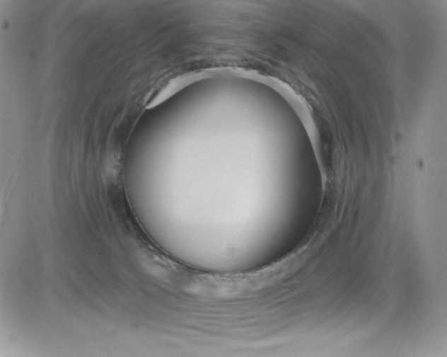 X0000081280033200701251639