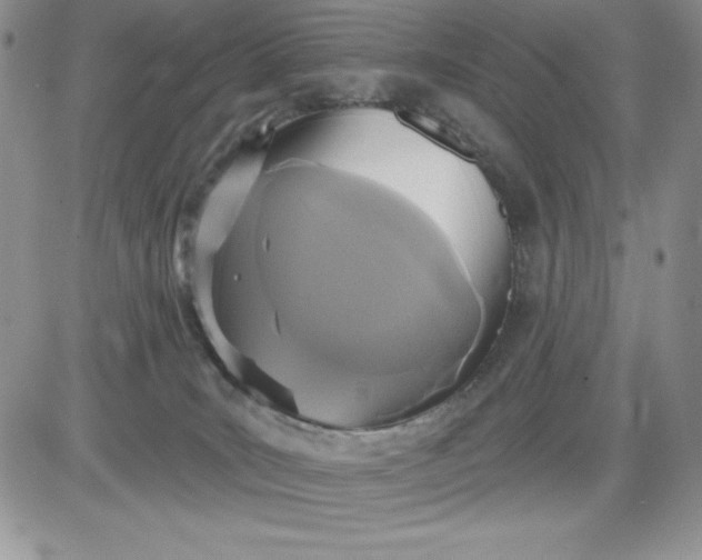 X0000081280035200701251639