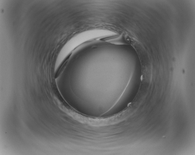 X0000081280039200701251639