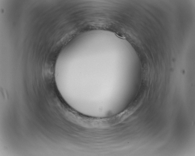 X0000081280040200701251639