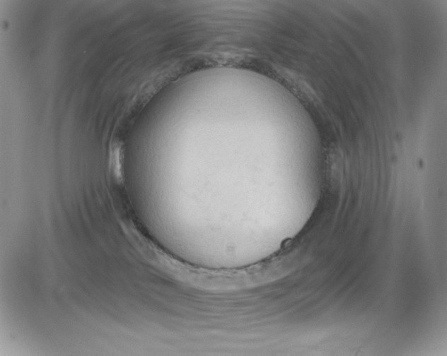 X0000081280042200701251639