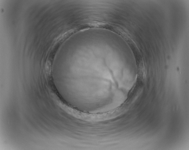 X0000081280043200701251639