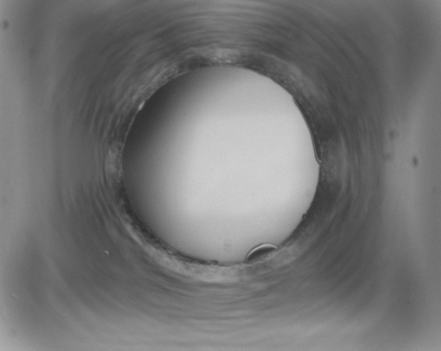 X0000081280044200701251639