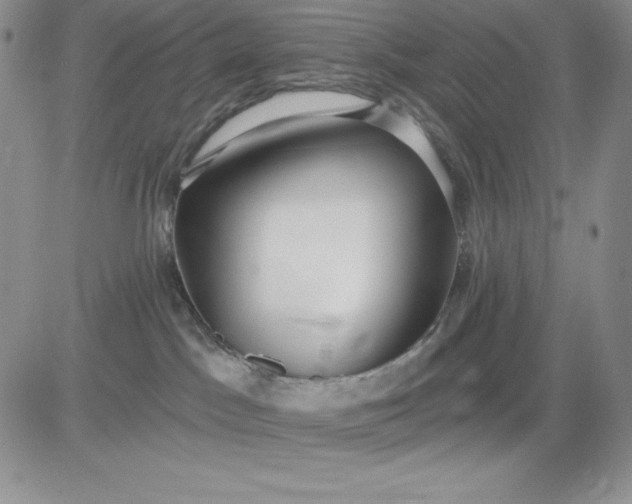 X0000081280045200701251639