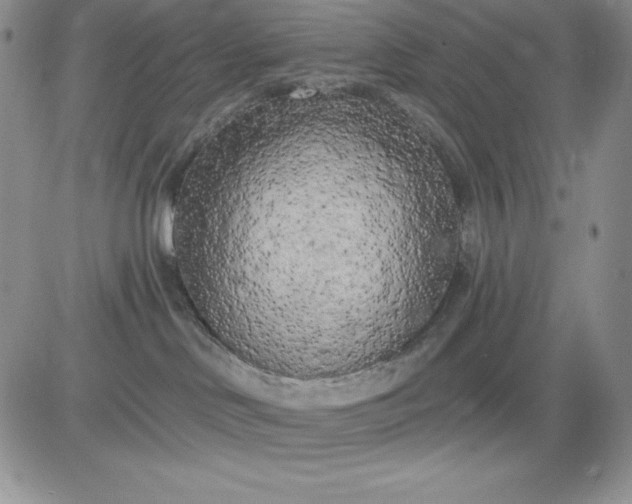 X0000081280046200701251639