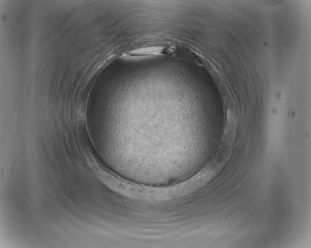 X0000081280048200701251639