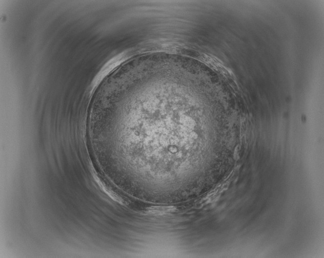 X0000081280051200701251638