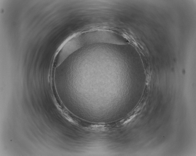 X0000081280052200701251638