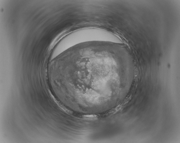 X0000081280053200701251638