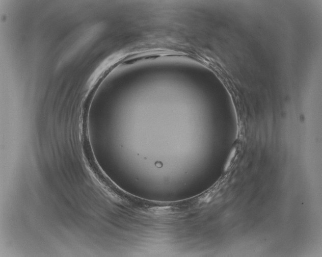 X0000081280054200701251638