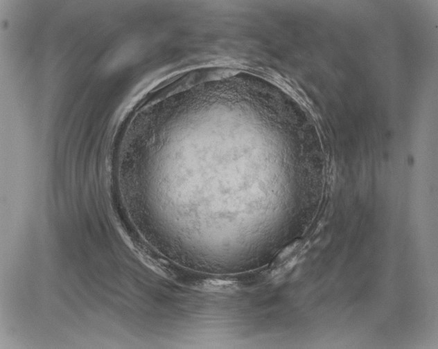 X0000081280055200701251638