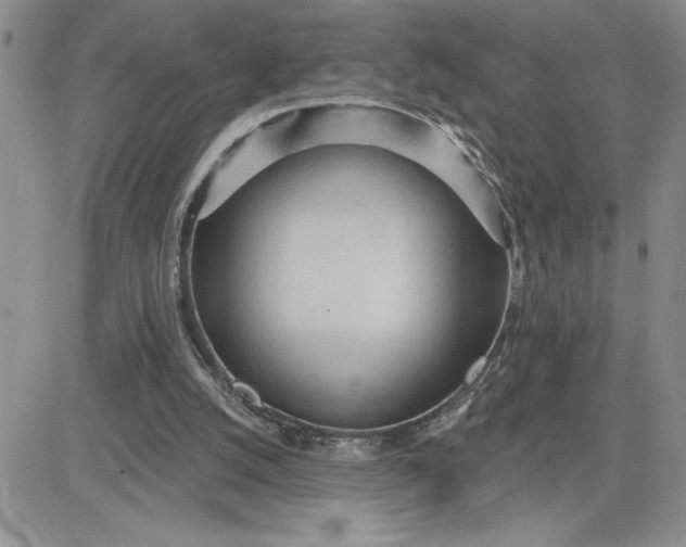 X0000081280056200701251638