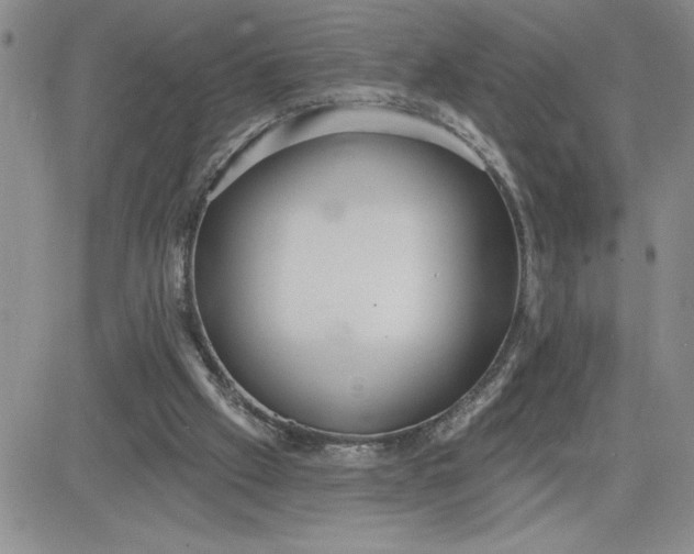 X0000081280057200701251638