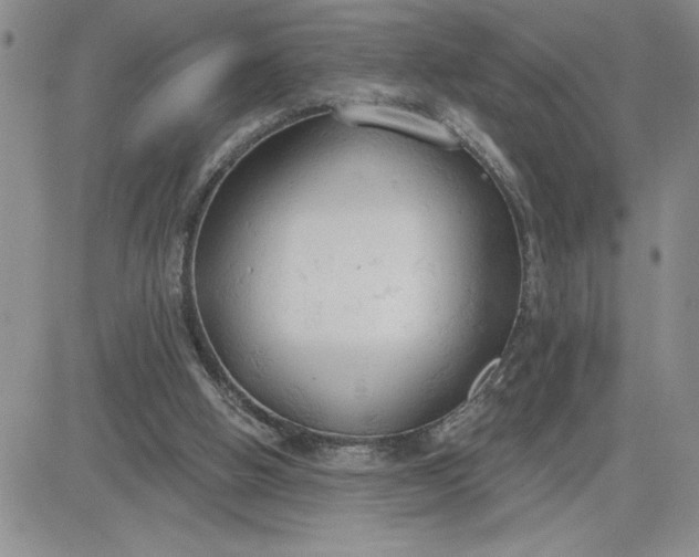 X0000081280058200701251638