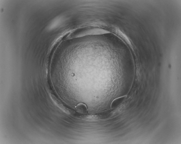 X0000081280059200701251638