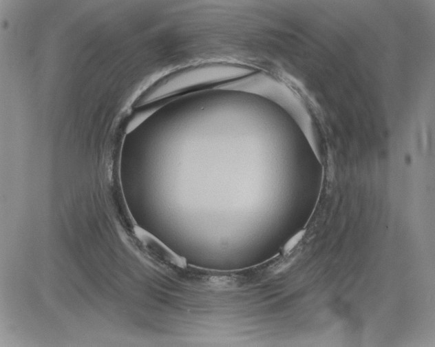 X0000081280060200701251638