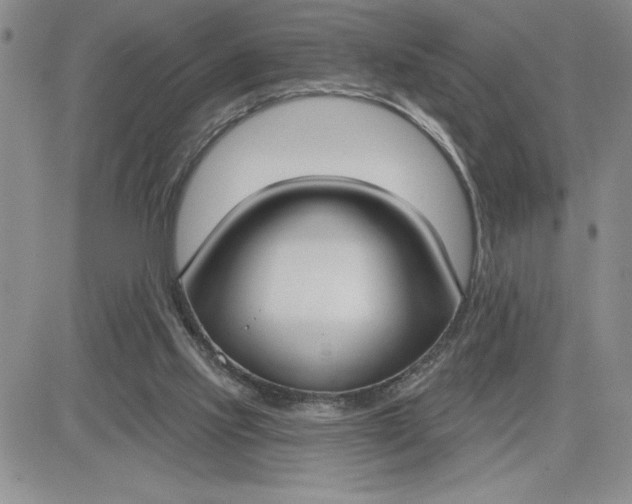 X0000081280061200701251638