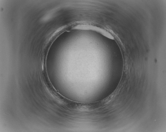 X0000081280062200701251638