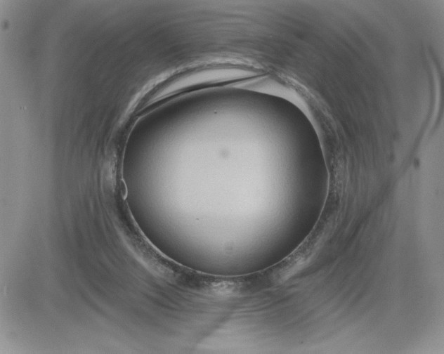 X0000081280064200701251638