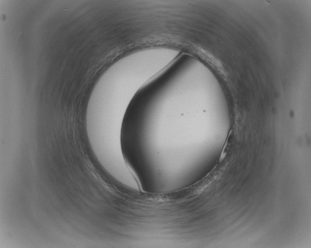 X0000081280065200701251638