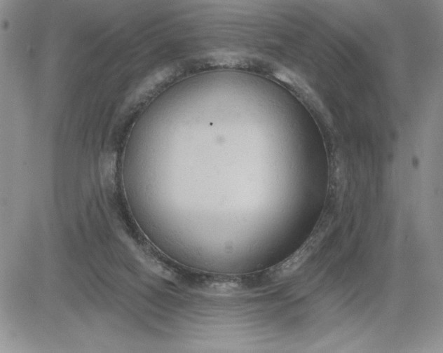 X0000081280066200701251638